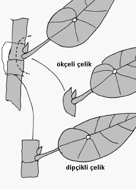 Name:  mallheal.jpg
Views: 3215
Size:  33.4 KB