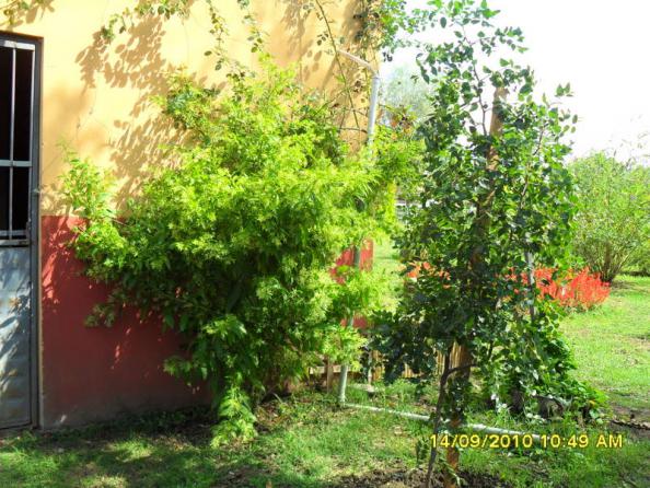 Name:  033.jpg
Views: 1403
Size:  71.7 KB