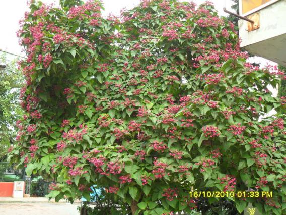 Name:  001.jpg
Views: 3679
Size:  73.1 KB