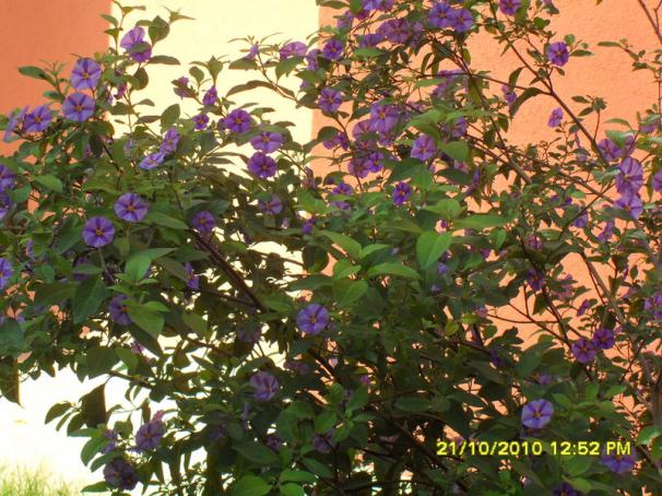 Name:  003.jpg
Views: 10931
Size:  72.0 KB