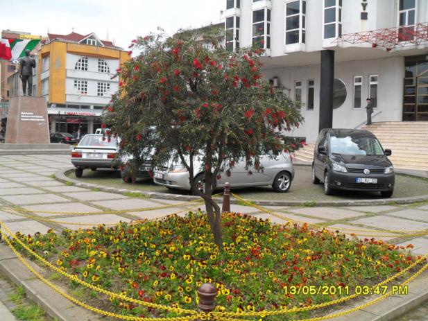 Name:  030.jpg
Views: 2807
Size:  71.0 KB