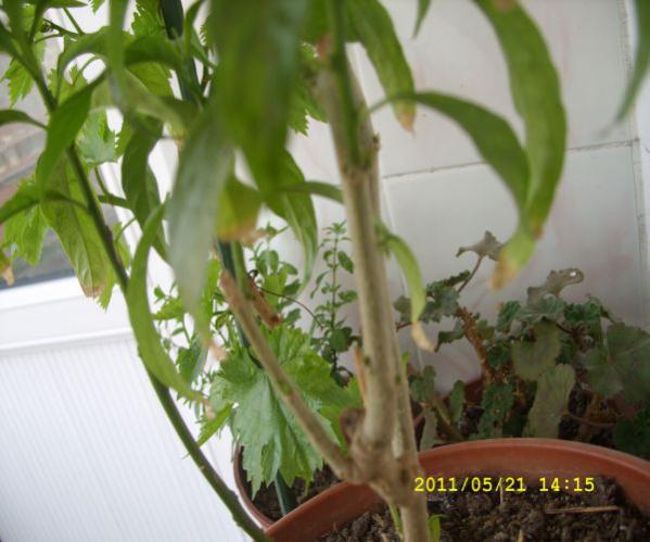 Name:  3.jpg
Views: 3288
Size:  40.8 KB