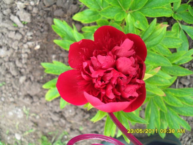 Name:  044.jpg
Views: 1346
Size:  49.8 KB
