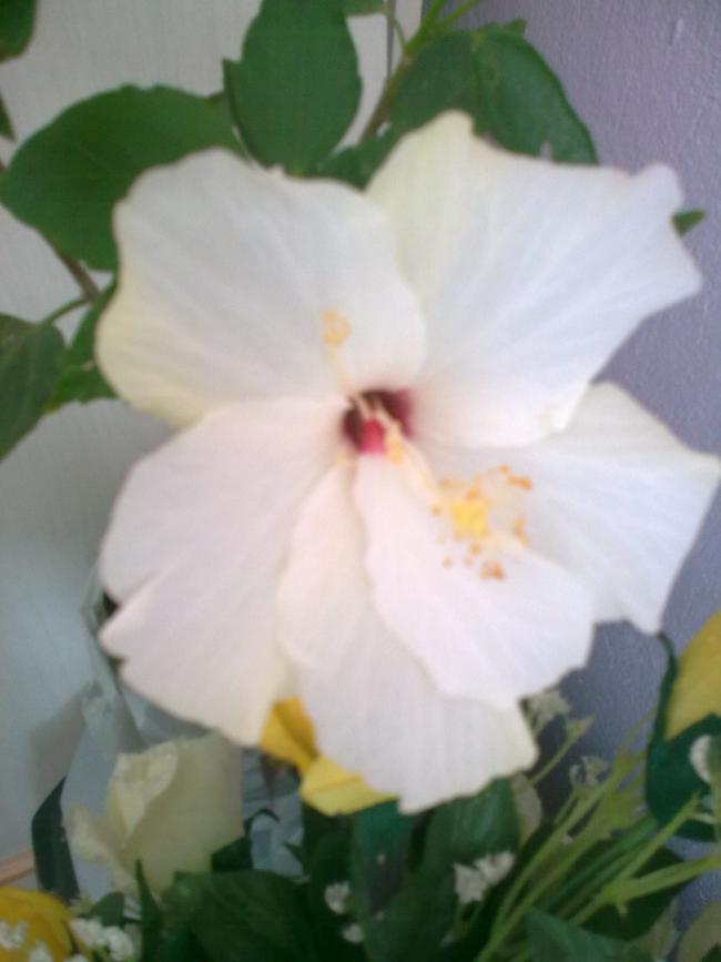 Name:  30052011.jpg
Views: 18687
Size:  38.6 KB