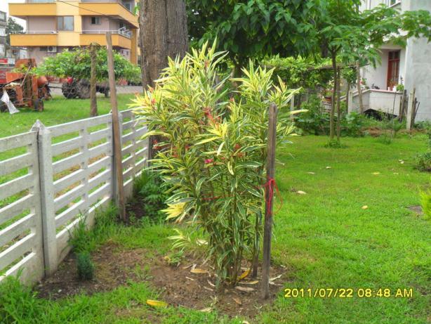 Name:  028-1.jpg
Views: 4496
Size:  71.1 KB
