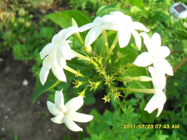 Name:  004.jpg
Views: 1211
Size:  45.1 KB