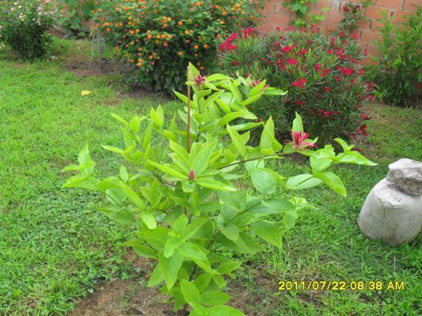 Name:  016.jpg
Views: 3322
Size:  71.1 KB