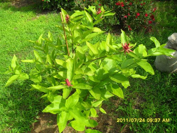 Name:  017.jpg
Views: 3369
Size:  71.4 KB
