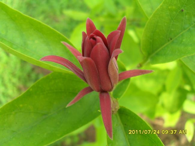 Name:  018.jpg
Views: 3256
Size:  31.3 KB