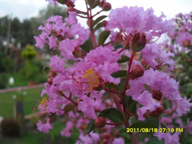 Name:  004.jpg
Views: 2837
Size:  42.6 KB