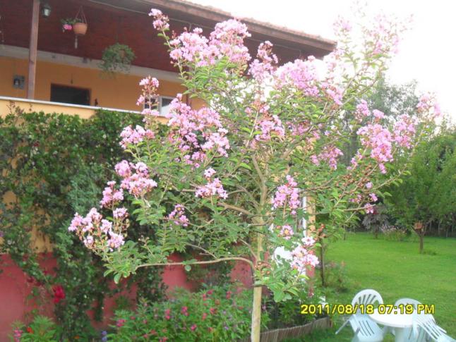 Name:  003.jpg
Views: 3724
Size:  70.2 KB