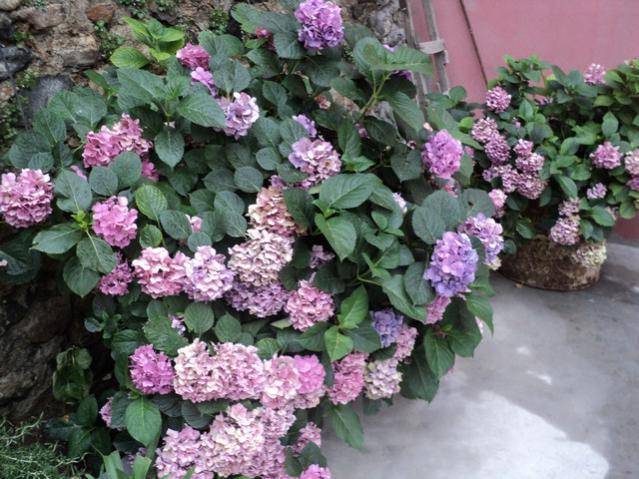 Name:  Image00014.jpg
Views: 4363
Size:  65.2 KB