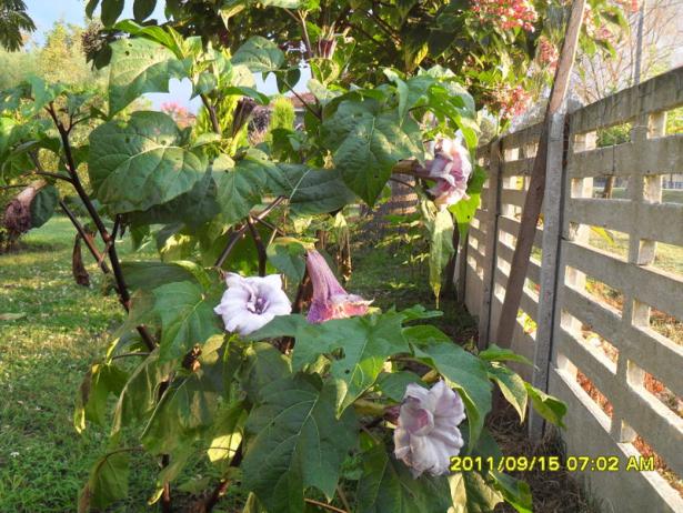Name:  034.jpg
Views: 1579
Size:  71.1 KB