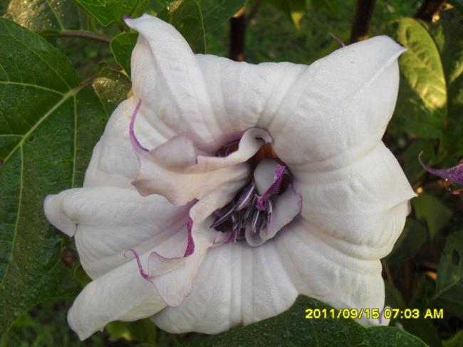 Name:  036.jpg
Views: 1587
Size:  39.4 KB