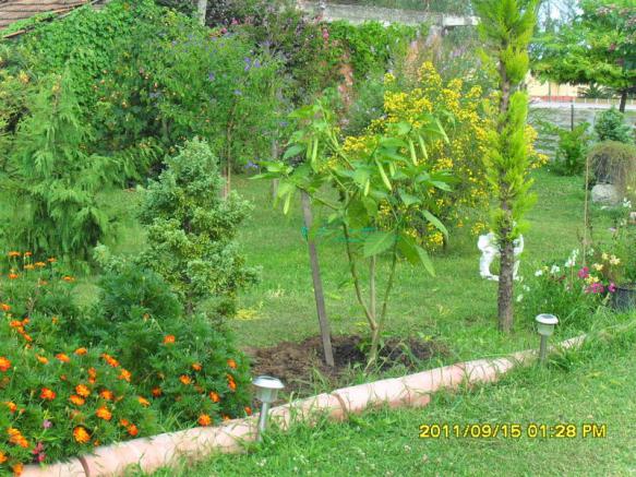 Name:  081.jpg
Views: 1170
Size:  71.3 KB