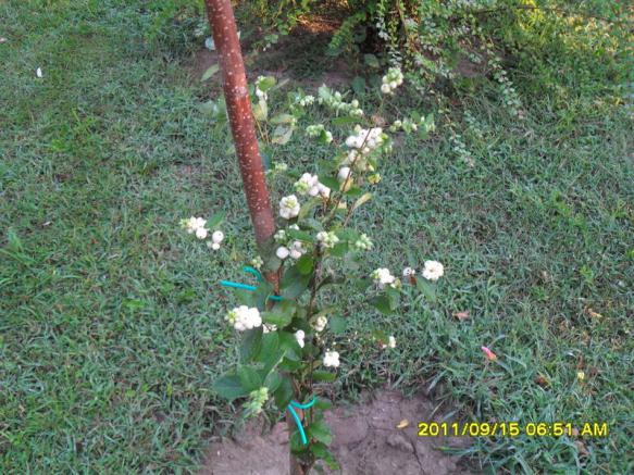 Name:  005.jpg
Views: 826
Size:  71.6 KB
