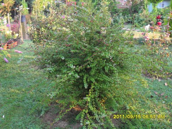 Name:  007.jpg
Views: 742
Size:  71.9 KB