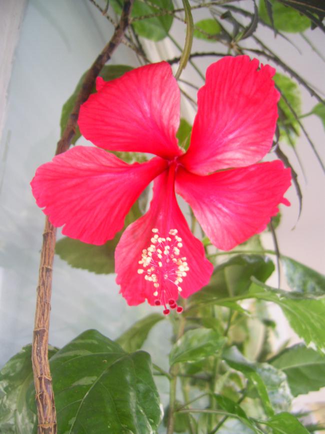 Name:  PIC_0036.jpg
Views: 1908
Size:  61.3 KB