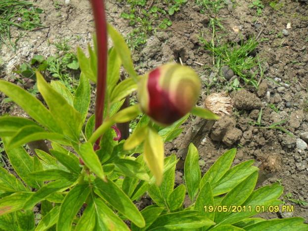 Name:  128.jpg
Views: 1477
Size:  70.9 KB