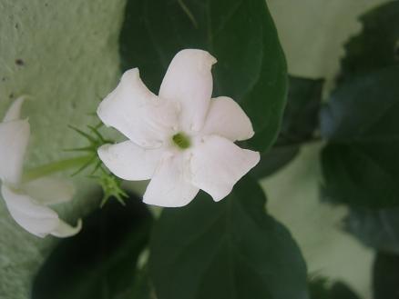 Name:  ful y. iek.JPG
Views: 2395
Size:  25.9 KB