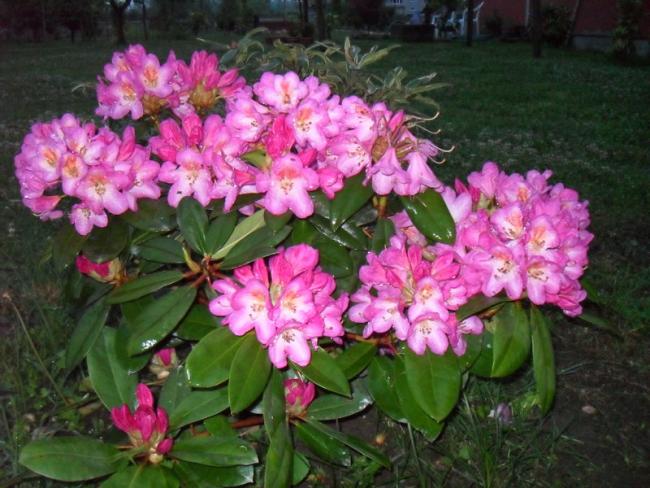 Name:  092.jpg
Views: 15033
Size:  57.6 KB