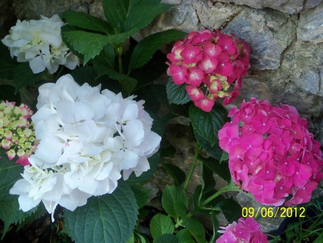 Name:  100_5188.jpg
Views: 1086
Size:  54.4 KB