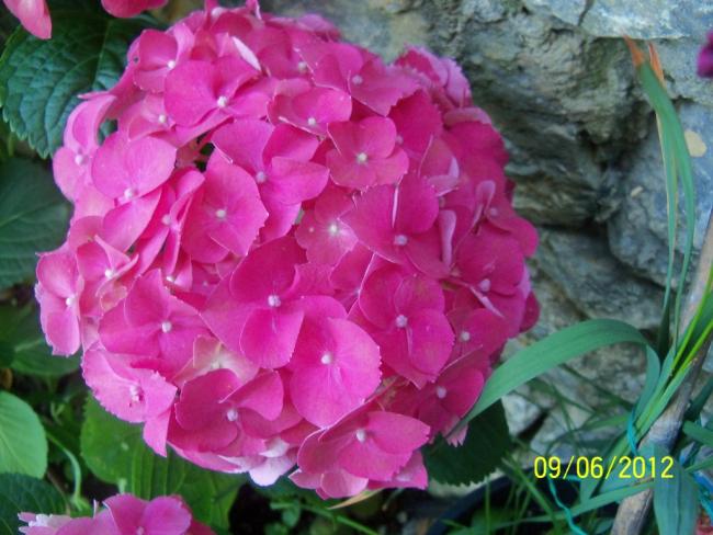 Name:  100_5200.jpg
Views: 1067
Size:  51.7 KB