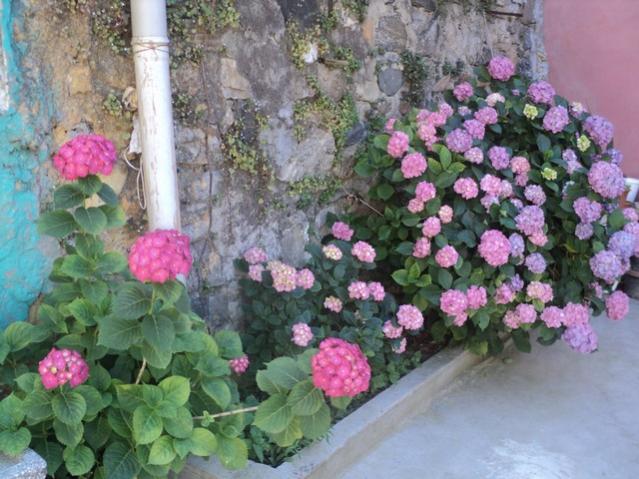 Name:  DSC03192.jpg
Views: 1601
Size:  59.7 KB