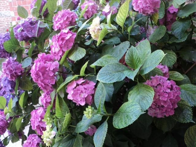 Name:  DSC03306.jpg
Views: 2139
Size:  67.8 KB