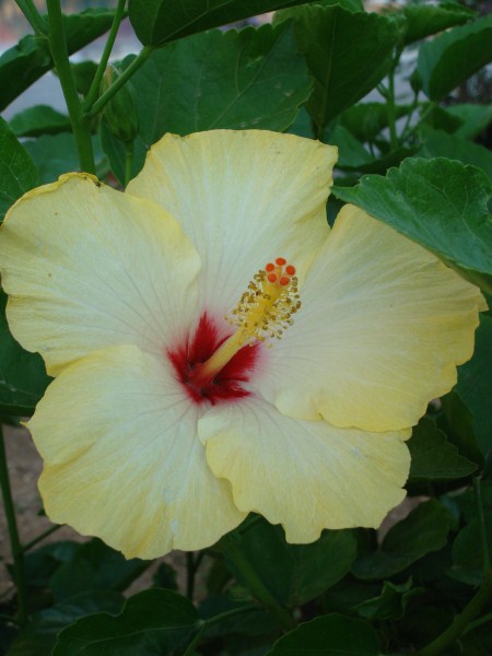 Name:  sar.jpg
Views: 2729
Size:  50.1 KB
