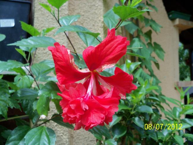 Name:  100_8684.jpg
Views: 2173
Size:  49.2 KB