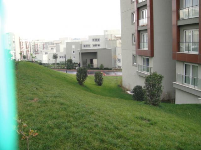 Name:  021.jpg
Views: 3327
Size:  36.5 KB