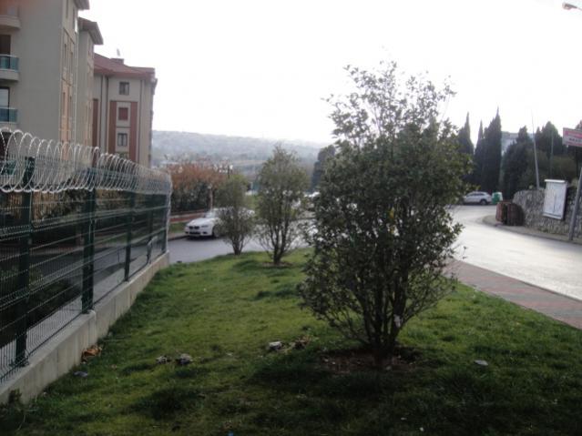 Name:  026.jpg
Views: 3425
Size:  41.9 KB