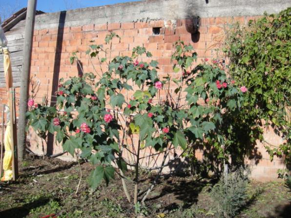 Name:  082.jpg
Views: 6018
Size:  71.7 KB