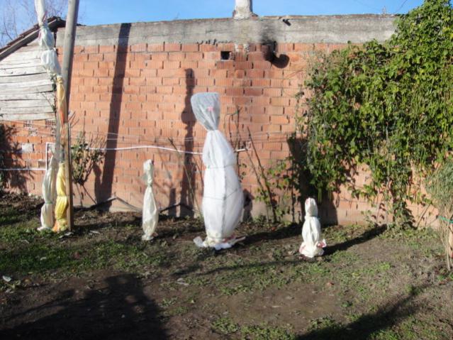 Name:  085.jpg
Views: 5944
Size:  68.6 KB