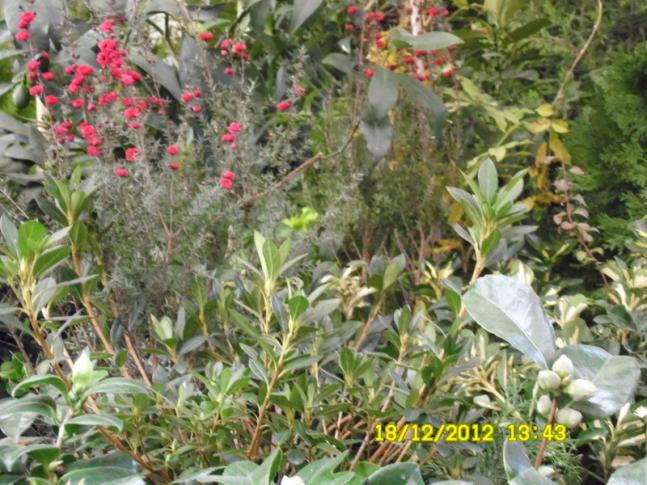 Name:  031.jpg
Views: 1744
Size:  70.1 KB