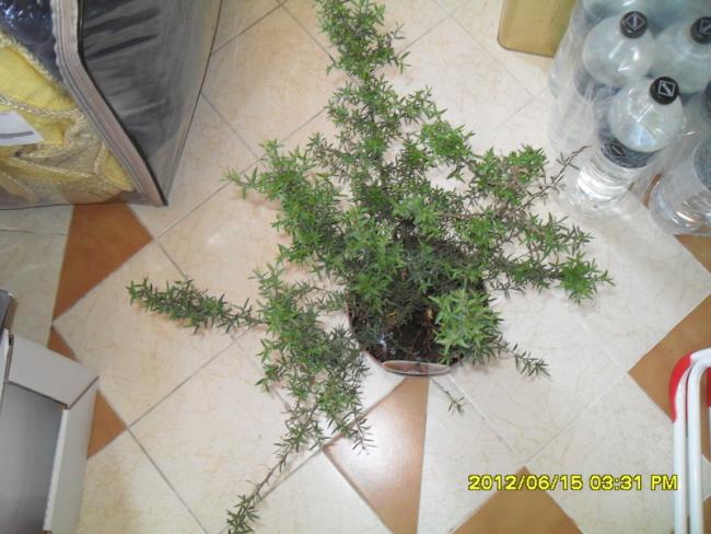 Name:  017.jpg
Views: 1890
Size:  50.1 KB