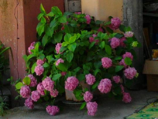 Name:  Fotoraf2971.jpg
Views: 1516
Size:  30.9 KB