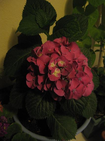 Name:  Resim 008.jpg
Views: 3203
Size:  35.9 KB
