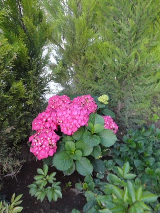 Name:  1-DSC00018.jpg
Views: 1709
Size:  75.4 KB