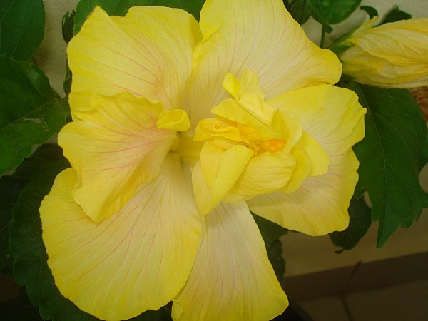 Name:  DSC01630.jpg
Views: 1338
Size:  41.5 KB