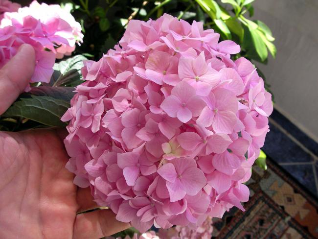 Name: SANY0026.jpg
Views: 1896
Size: 50.5 KB