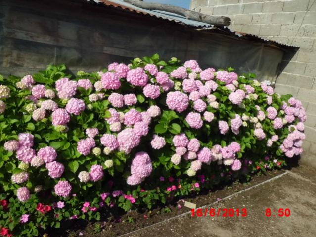 Name:  CIMG4348.jpg
Views: 1591
Size:  65.6 KB
