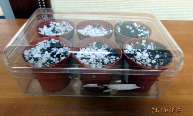 Name:  fMG_11661.jpg
Views: 847
Size:  39.1 KB