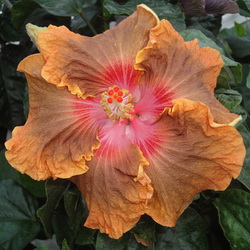 Name:  13-22A.jpg
Views: 837
Size:  36.4 KB