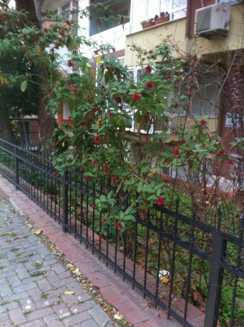 Name:  01-001.jpg
Views: 1772
Size:  70.5 KB