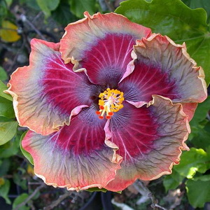 Name:  2013-2.jpg
Views: 1031
Size:  52.8 KB