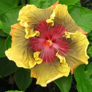 Name:  2013-3.jpg
Views: 994
Size:  42.7 KB