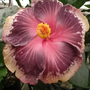Name:  2013-4.jpg
Views: 993
Size:  43.2 KB