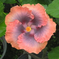 Name:  2013-5.jpg
Views: 976
Size:  20.3 KB